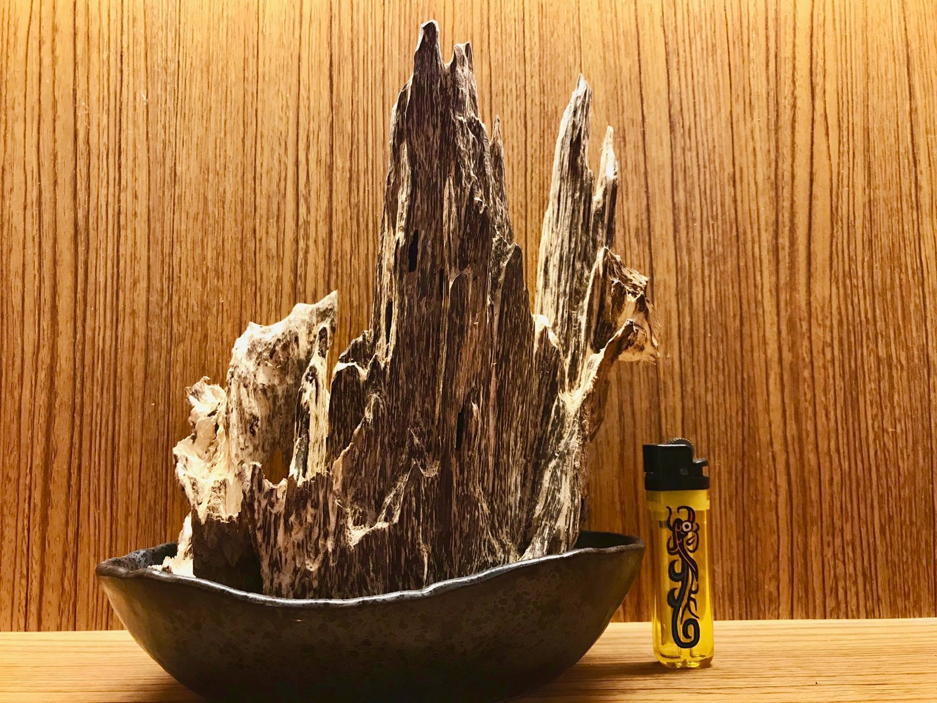 Unveiling the Spiritual and Therapeutic Wonders of Agarwood Fragrance